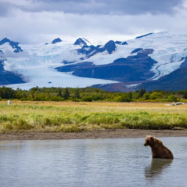 Alaskan Wilderness of Lake Clark National Park