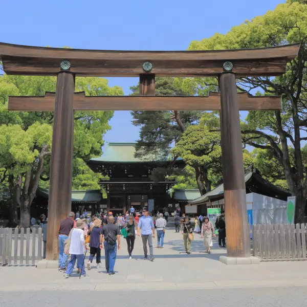 Serene view of the Meiji Shrine surrounded by lush green forest