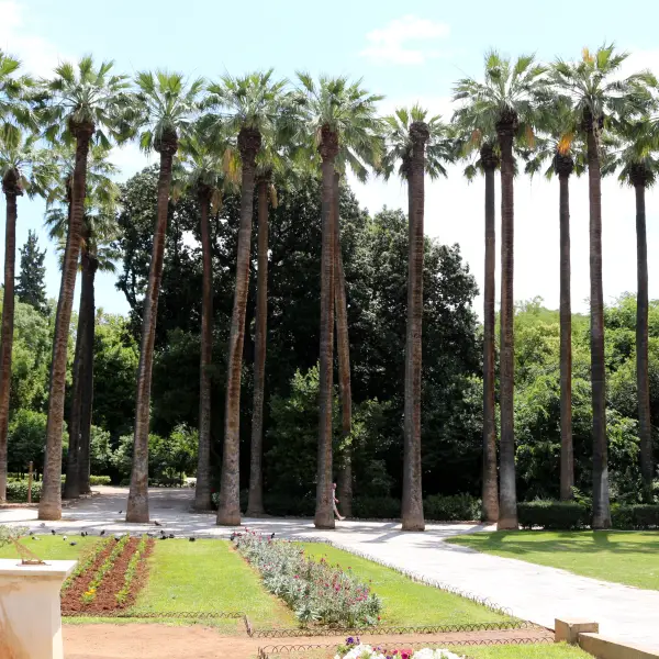 National Garden Of Athens in Greece - a public park in the heart of Athens, featuring lush gardens, ancient ruins, and a small zoo, offering a peaceful escape from the bustling city and a glimpse into the natural beauty of Greece.