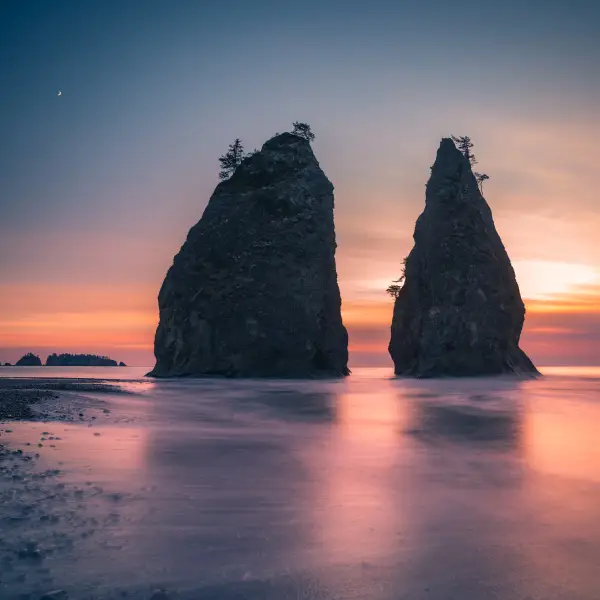 Diverse Ecosystems of Olympic National Park