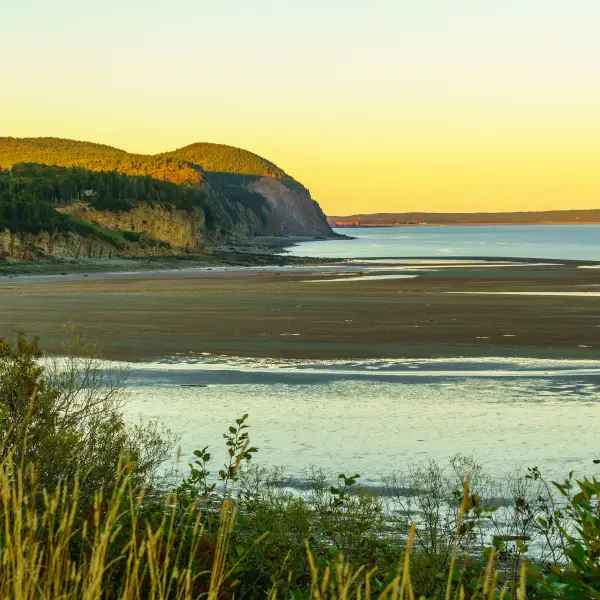 Coastal Beauty and Marine Life of Fundy National Park