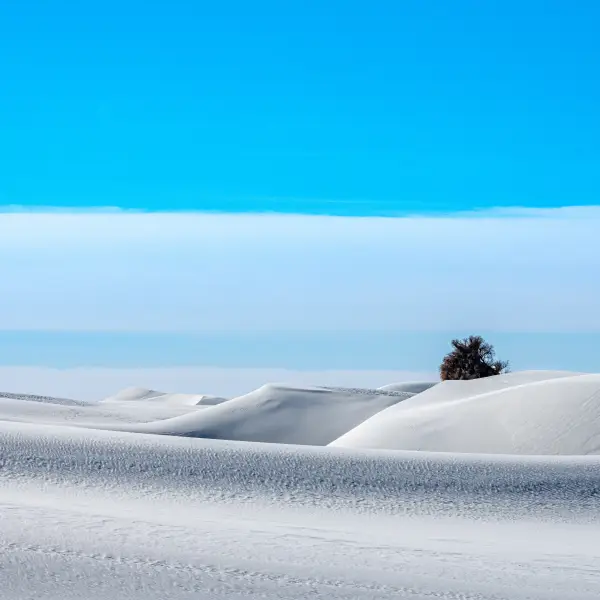 Glistening Sands of White Sands National Park
