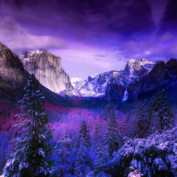 Yosemite National Park